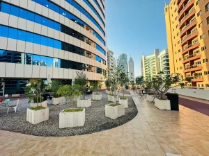 Virtual Offices in Dubai