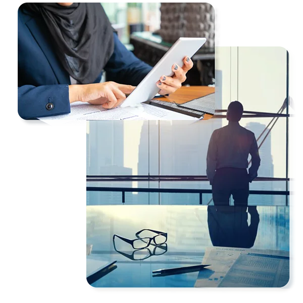 smart business creation professional license